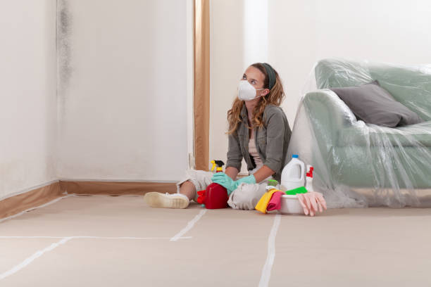 Reliable Mold Cleanup contractor in Sewell, NJ by Cheap Mold Removal